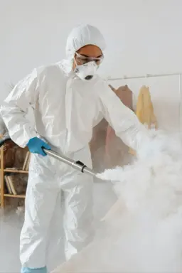 Fogging Service