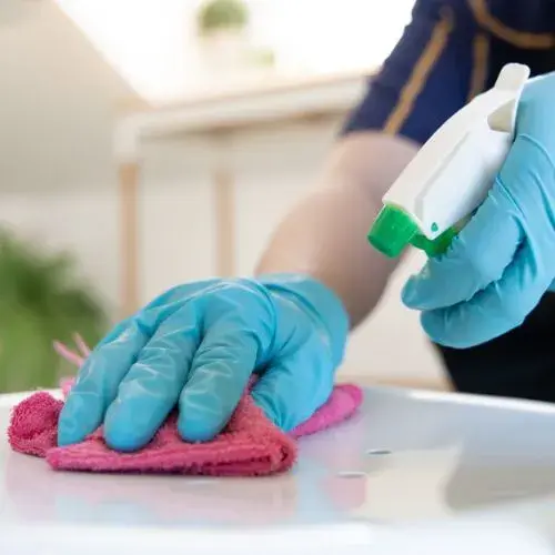 Cleaning Service