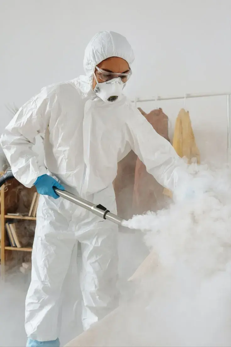 Fogging Service