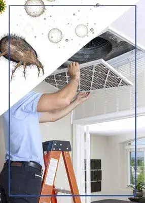 Odor Removal Service